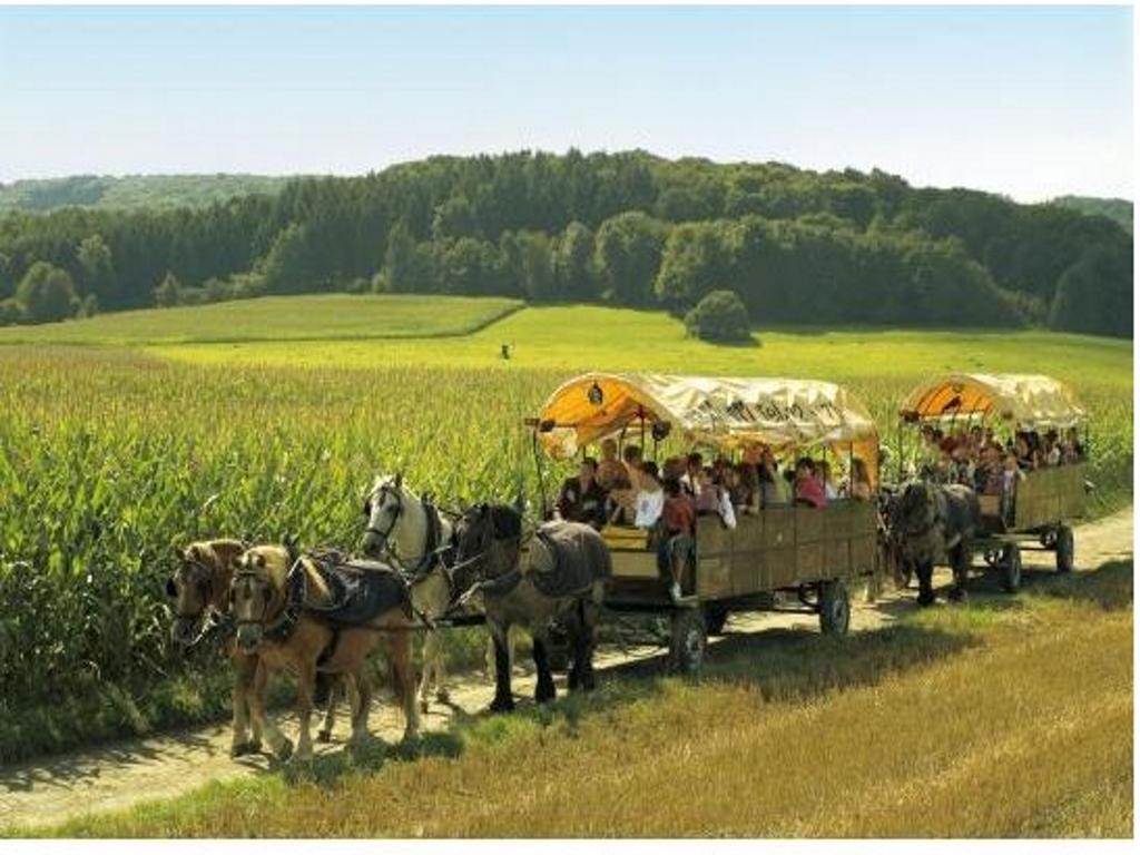 Hotel Landsknecht 3*